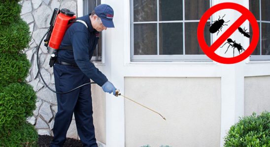 Çerkezköy Akrep İlaçlama böcek ilaçlama ve haşere kontrolü — ilaclama-tr.com